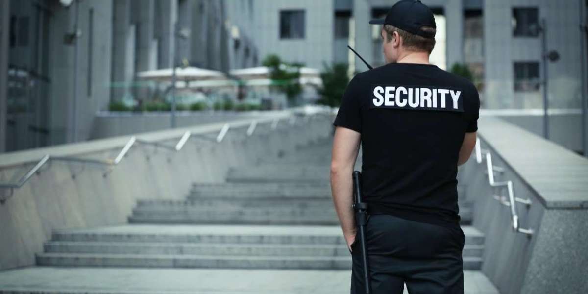 Main purpose of security services?