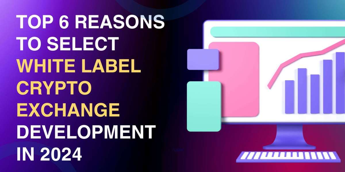 Top 6 Reasons to select White Label Crypto Exchange Development in 2024