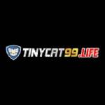 tinycat99 life