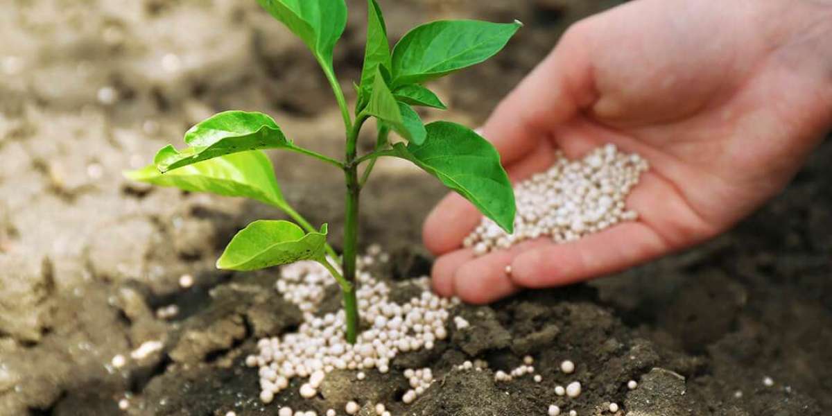 Fertilizer Additive Market Forecast: Projected Growth of US$ 1,761.88 Million by 2033 with a 4.20% CAGR