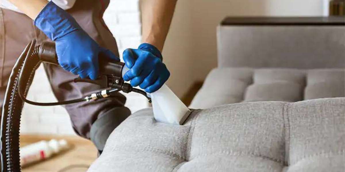 Refresh Your Living Space: Professional Carpet & Furniture Cleaning Services