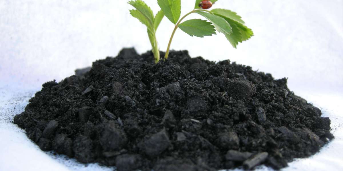 Biochar Market Size, Share, Trends, Demand, Growth and Forecast 2024-2032