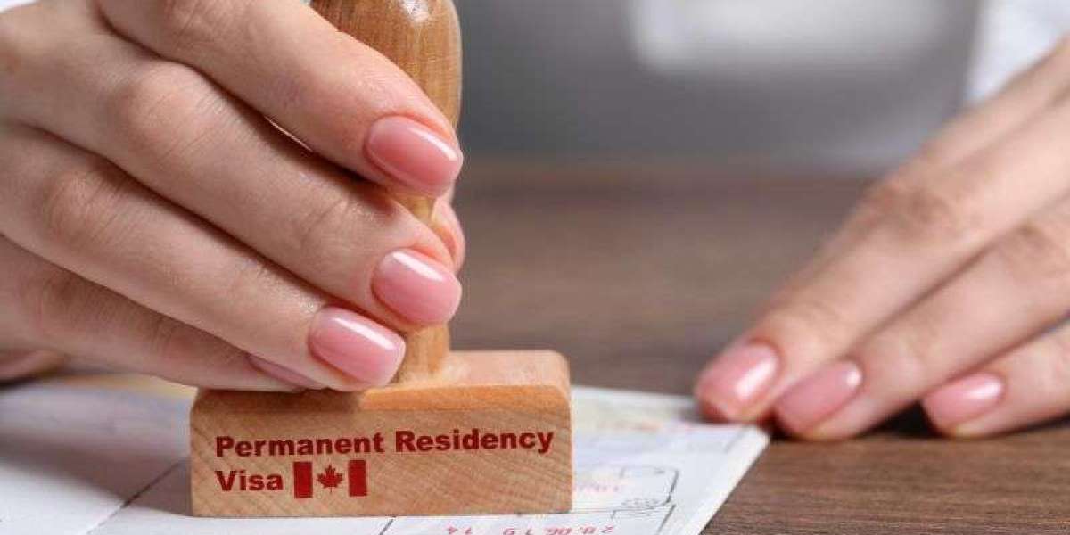 Top Immigration Consultancy in Windsor, Ontario - Earnest Immigration