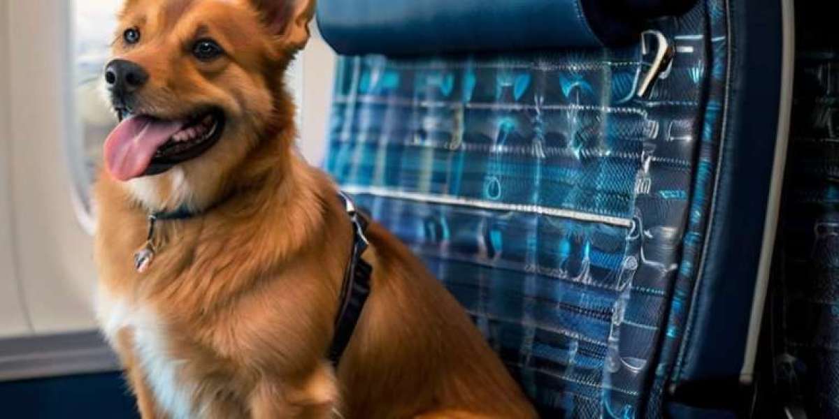 Can you bring pets on a plane Delta?