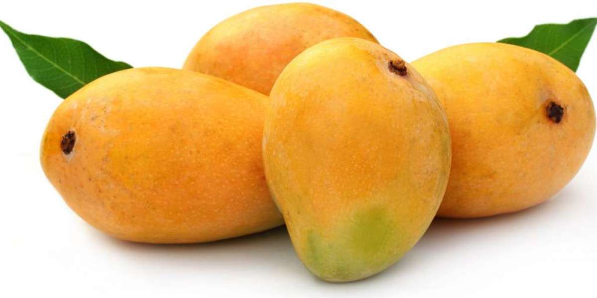Golden Harvest: Insights into the Rise of Kesar Mango Exporters
