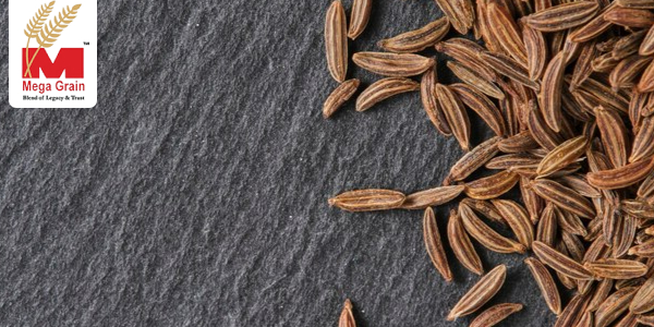 Exploring the Rising Demand for Caraway Seeds