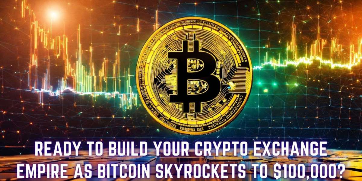 Ready to Build Your Crypto Exchange Empire as Bitcoin Skyrockets to $100,000?