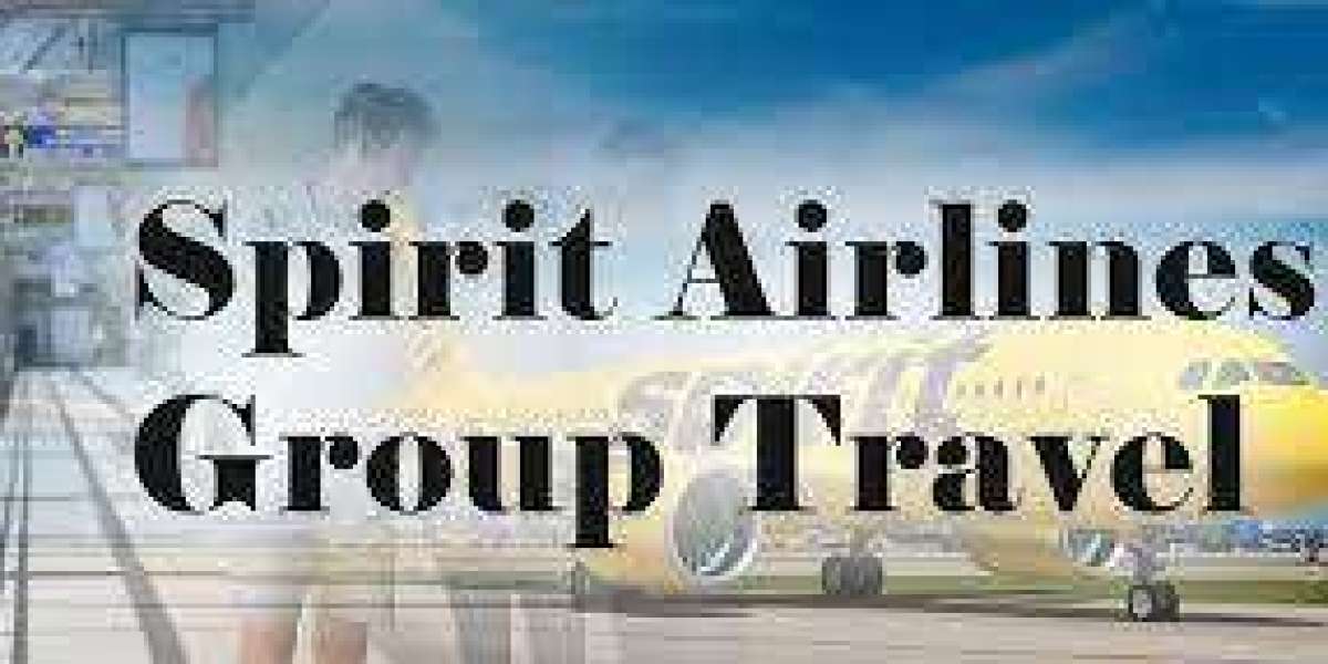 How to Purchase Spirit Airlines Group Tickets?