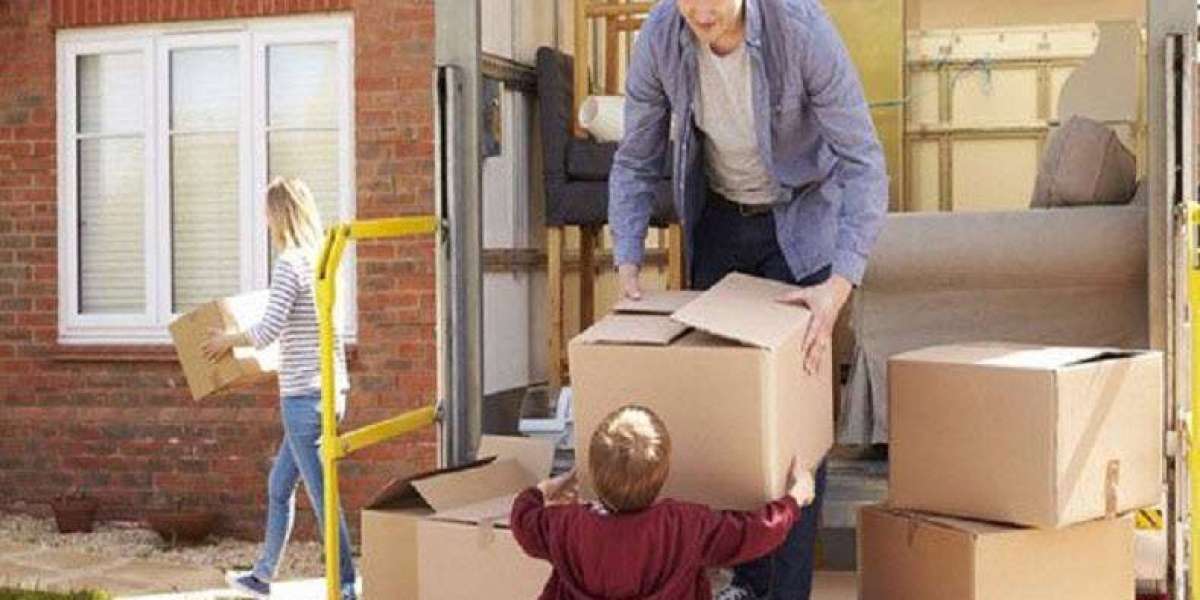 Moving Day Madness: Sydney Furniture Removalist Survival Guide