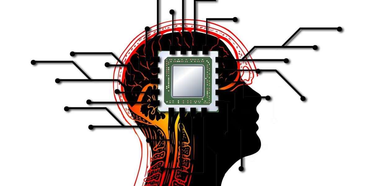 Wetware Computers: The Brainchild of the Future?