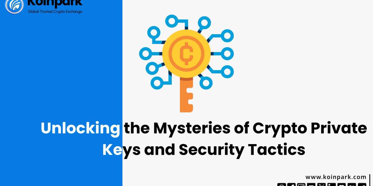 Unlocking the Mysteries of Crypto Private Keys and Security Tactics