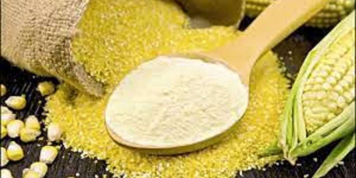 North America Quinoa Flour Market: A Forecast of the Market Size, Share, and Trends