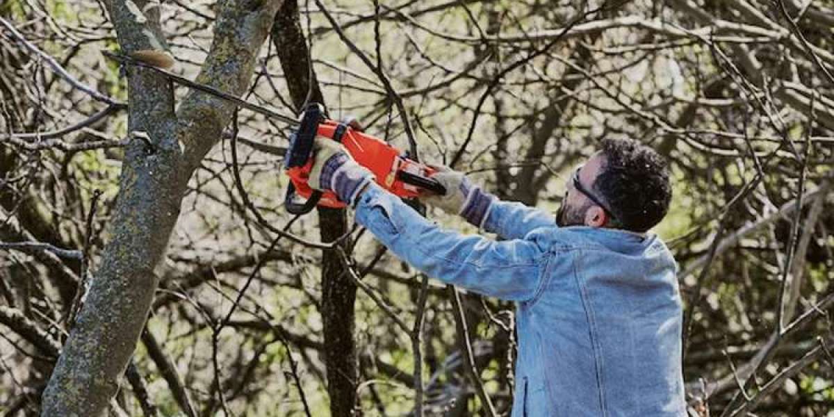 Tree Cutting Services Sydney - Expertly Removing Trees for a Safer, Healthier Landscape