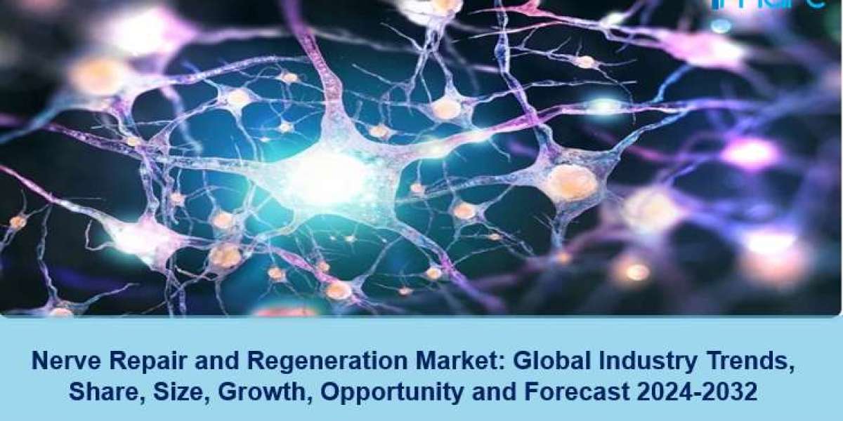 Nerve Repair and Regeneration Market 2024-2032 | Size, Growth and Forecast