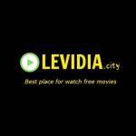 LeVidia City
