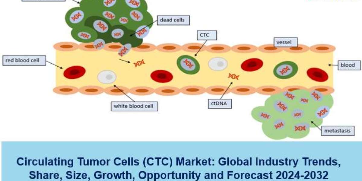 Circulating Tumor Cells Market Share, Size, Growth and Forecast 2024-2032