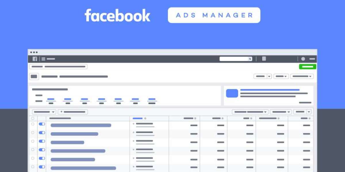 How are Facebook agency ads accounts different from regular ad accounts?