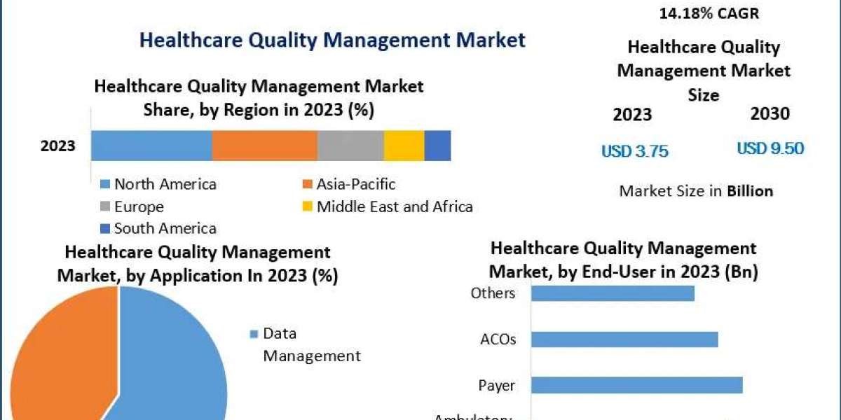 Healthcare Quality Management Market: Trends, Challenges, and Growth Strategies (2024-2030 Forecast)