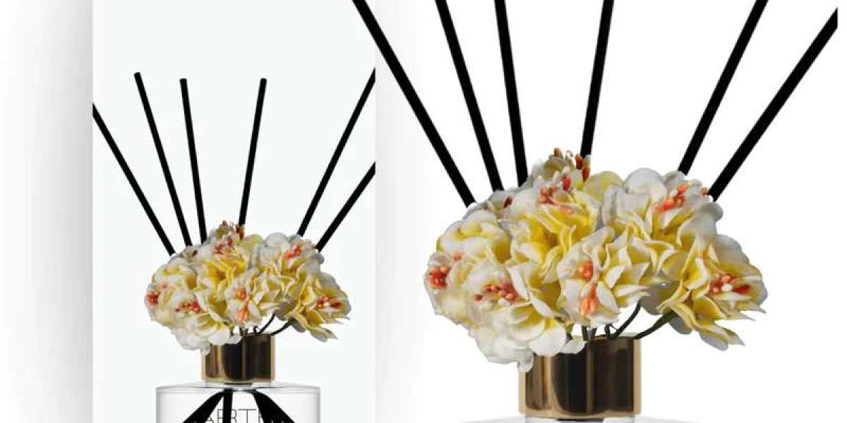 Avoid These Mistakes to Stop Affecting the Outcomes of Reed Diffusers