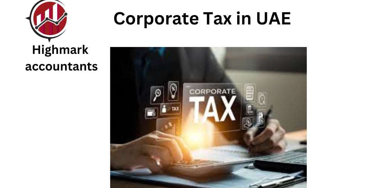 VAT Compliance Made Easy: Expert Consultants in the UAE