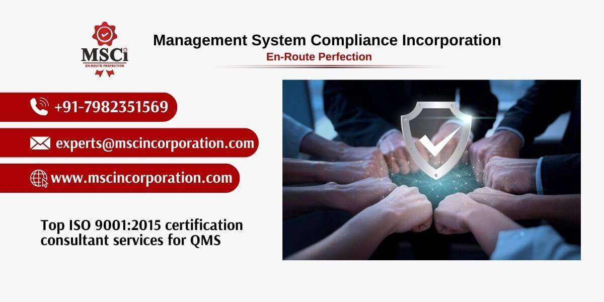 Expert ISO 9001 Consultant Services with MSCi's