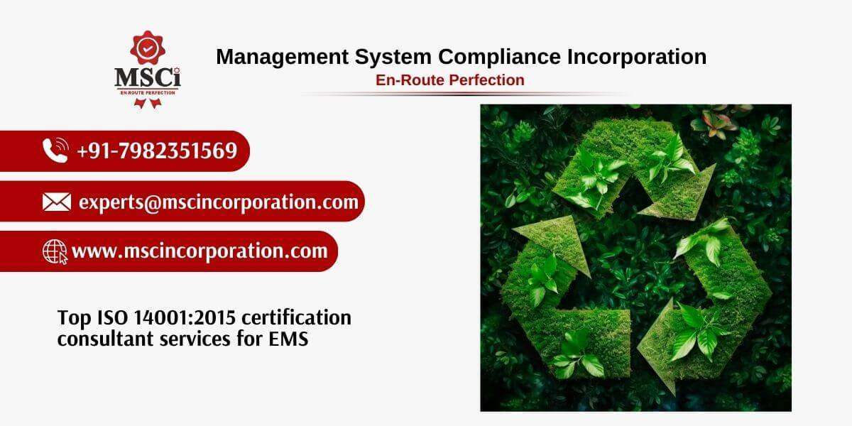 How to Choose the Right ISO 14001 Consultant