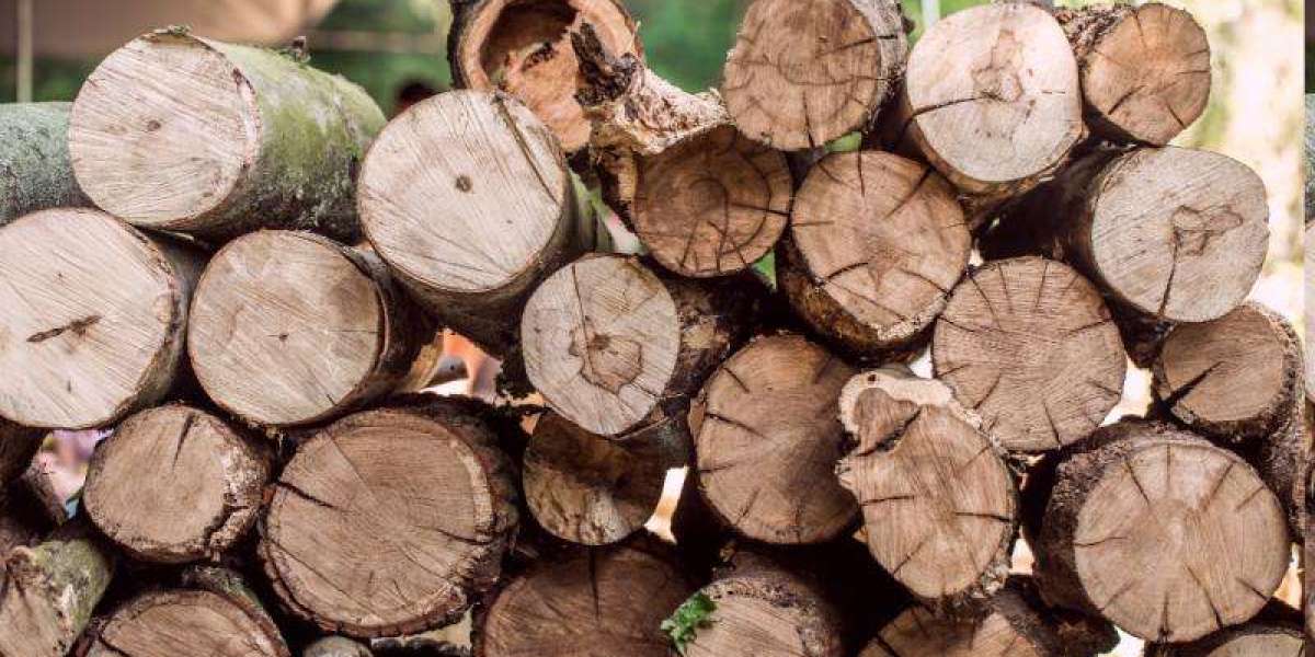 Forest Product Market Technological Trends Advancements in Type One Technology & Emerging Substitutes