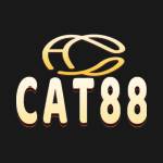 CAT88 DEV