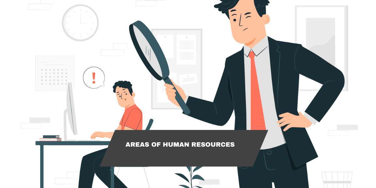 Exploring Key Focus Areas in Human Resources Development