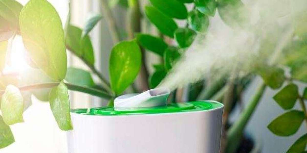 Sustainable Air Purification: Eco-Friendly Technologies for Cleaner Air