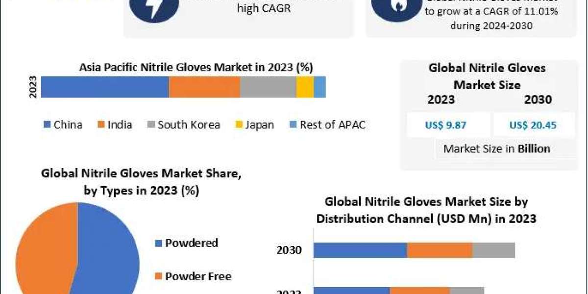 Nitrile Gloves Market: Paving the Way for Safer Workplaces Globally (2024-2030)