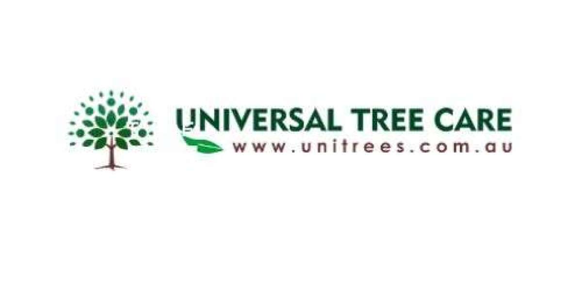 Efficient and Safe Professional Tree Removal Service
