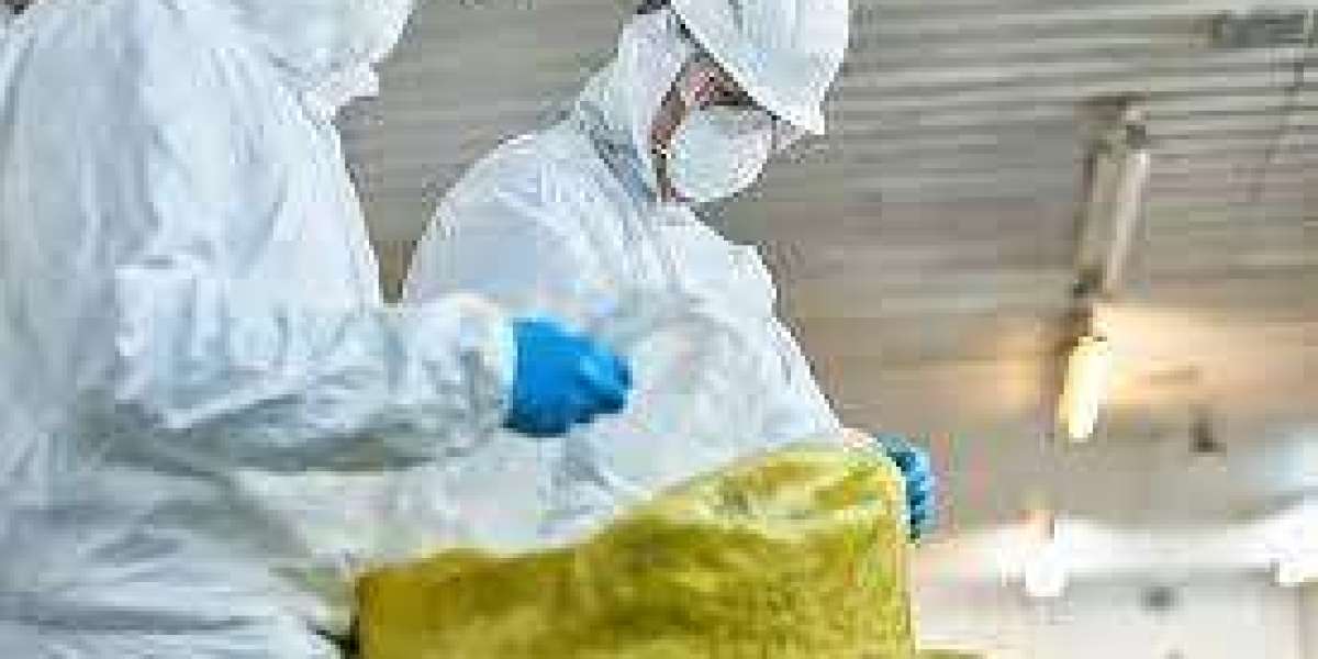 Meticulous Guardians: The Art and Science of Crime Scene Cleanup