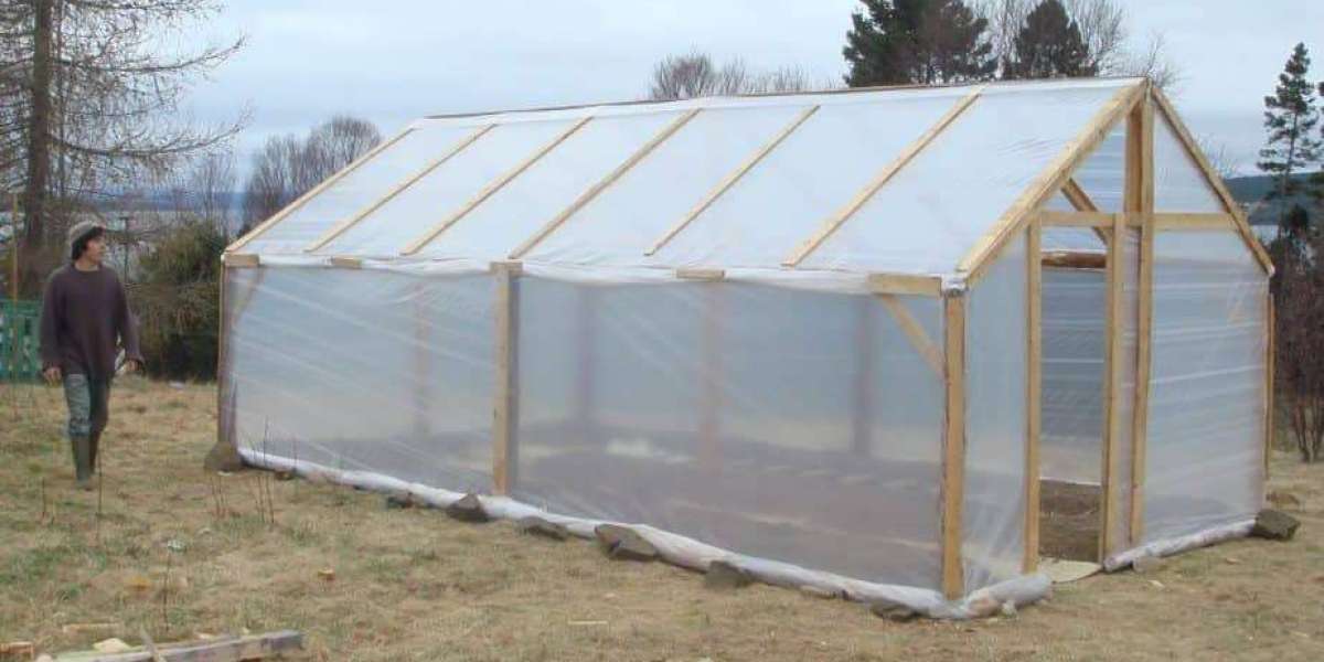 Harnessing Nature's Potential: The Complete Guide to Greenhouse Plastic Film