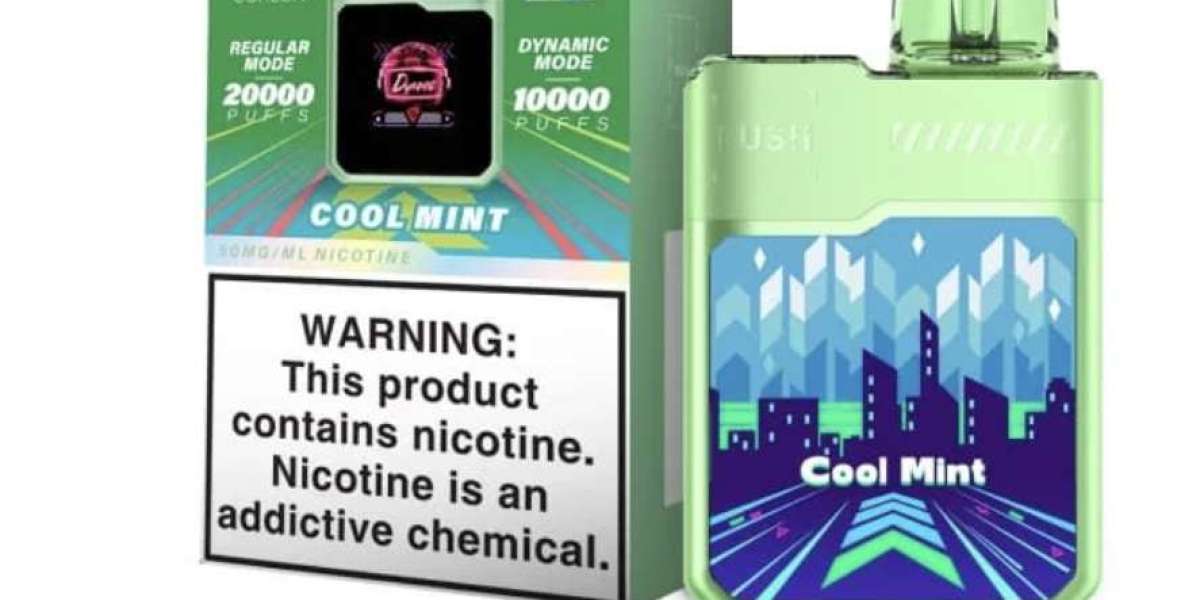 Elevate Your Vaping with Digi Lush Box 20000 – Cool Mint