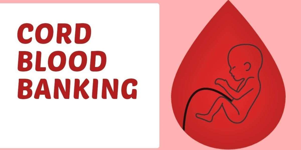 United Kingdom Cord Blood Banking Services Market: Strong Public Banking & Regulations