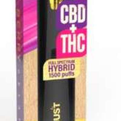 1500mg CBD+THC Disposable Vape Hybrid Profile Picture
