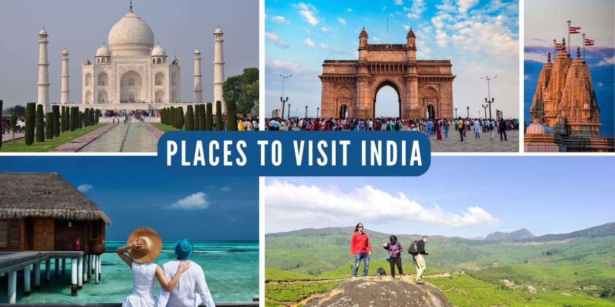 Top Leading Travel Agency in India- Citybit