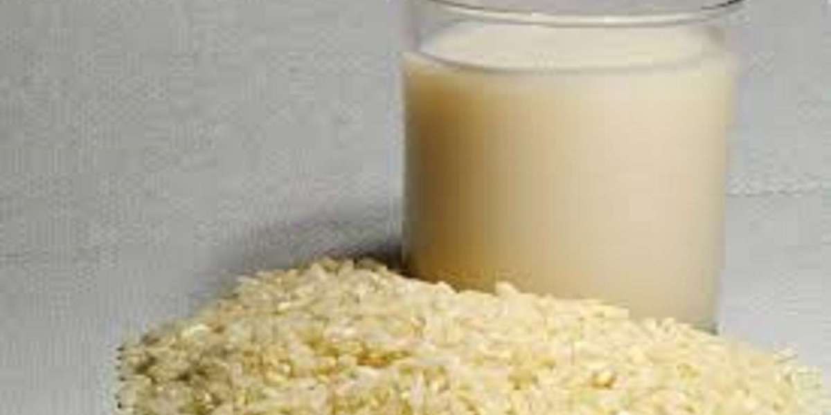 Canada Rice Milk Market Report, Analysis, Growth, overview and forecast to 2032.