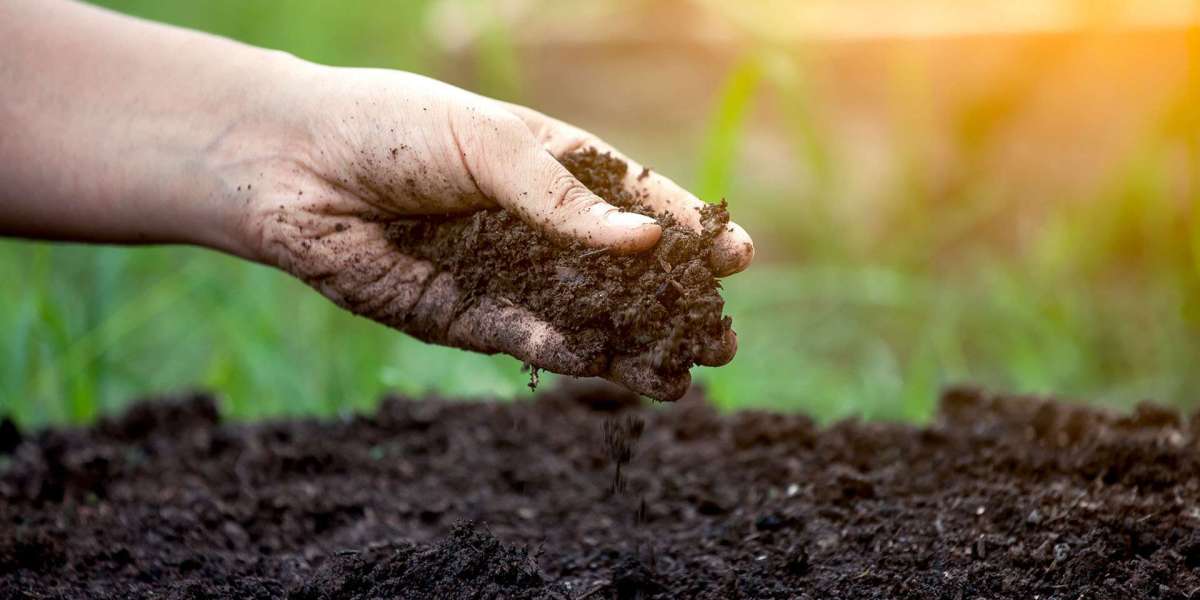 Growth Trajectory: North America's Organic Fertilizer Industry Eyes US$ 4,415.8 Million by 2034