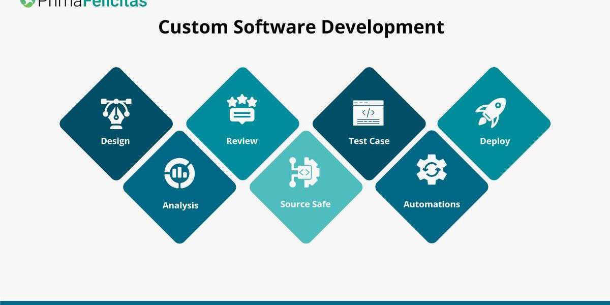 Custom Software Development in 2024