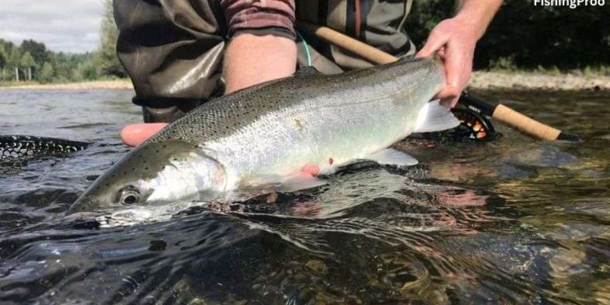 Cowlitz river fishing report