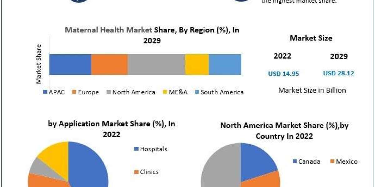 Maternal Health Market Forecast Size, Analysis And Top Players