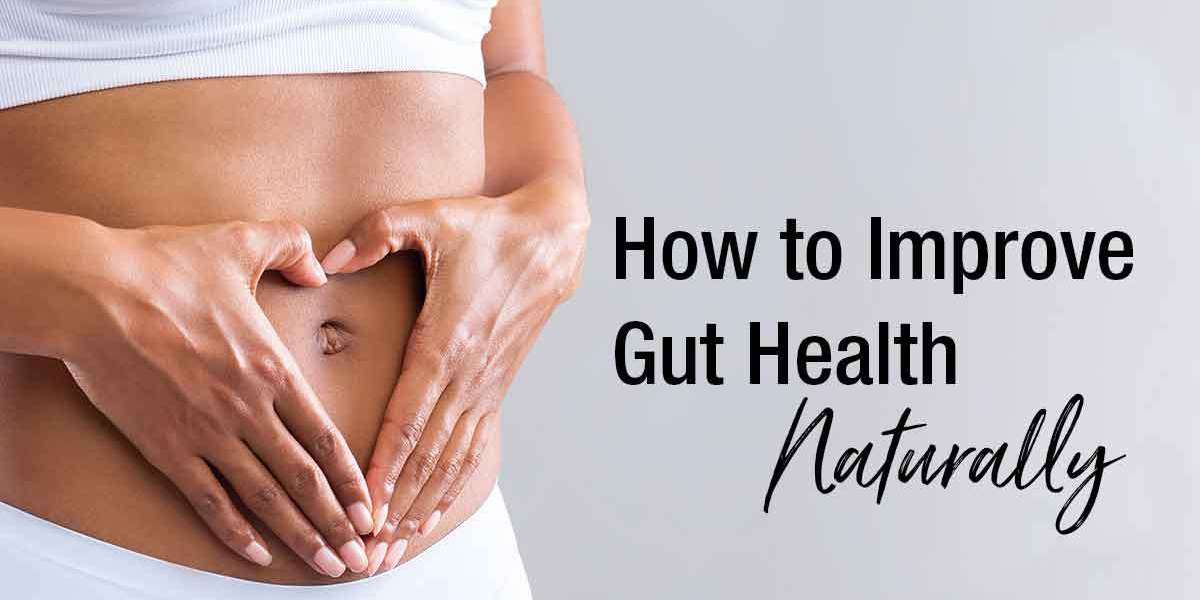 GutOptim: Popular Digestion and Healthy Gut and Supplements Reviews!