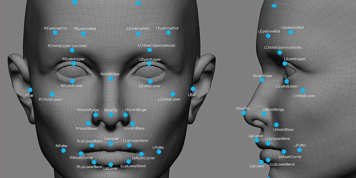 Japan Emotion Detection and Recognition Market Report Analysis 2024-2032