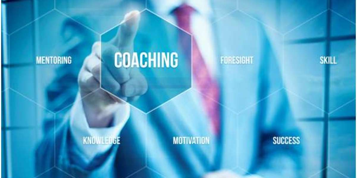 Unlocking Success: Business Coaching and Mentoring in 2024
