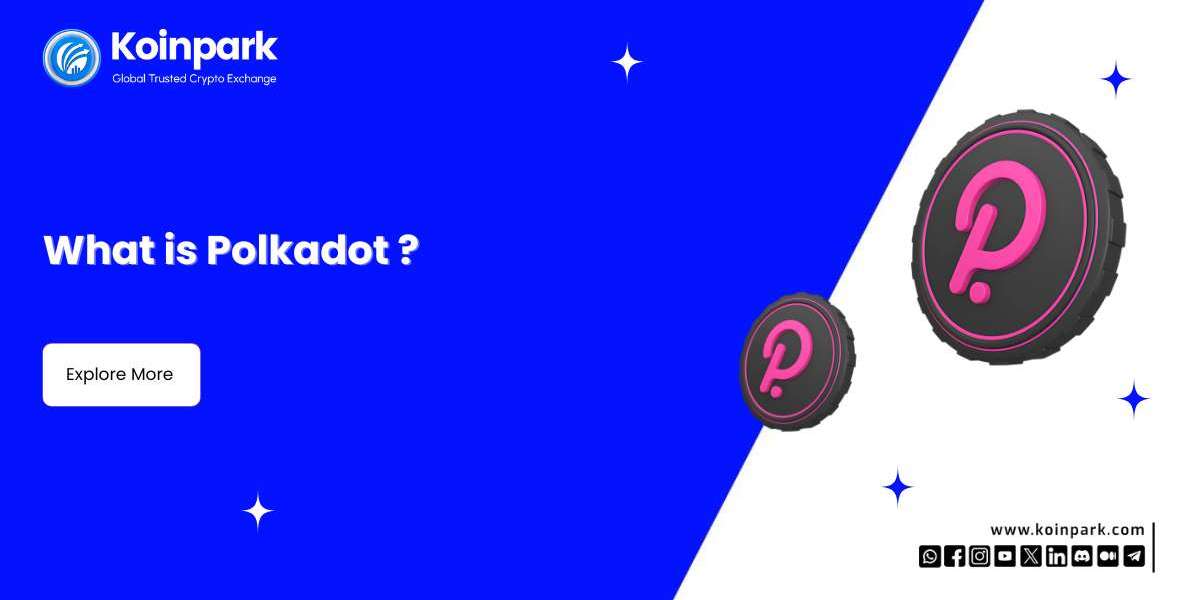 What is Polkadot(DOT)?