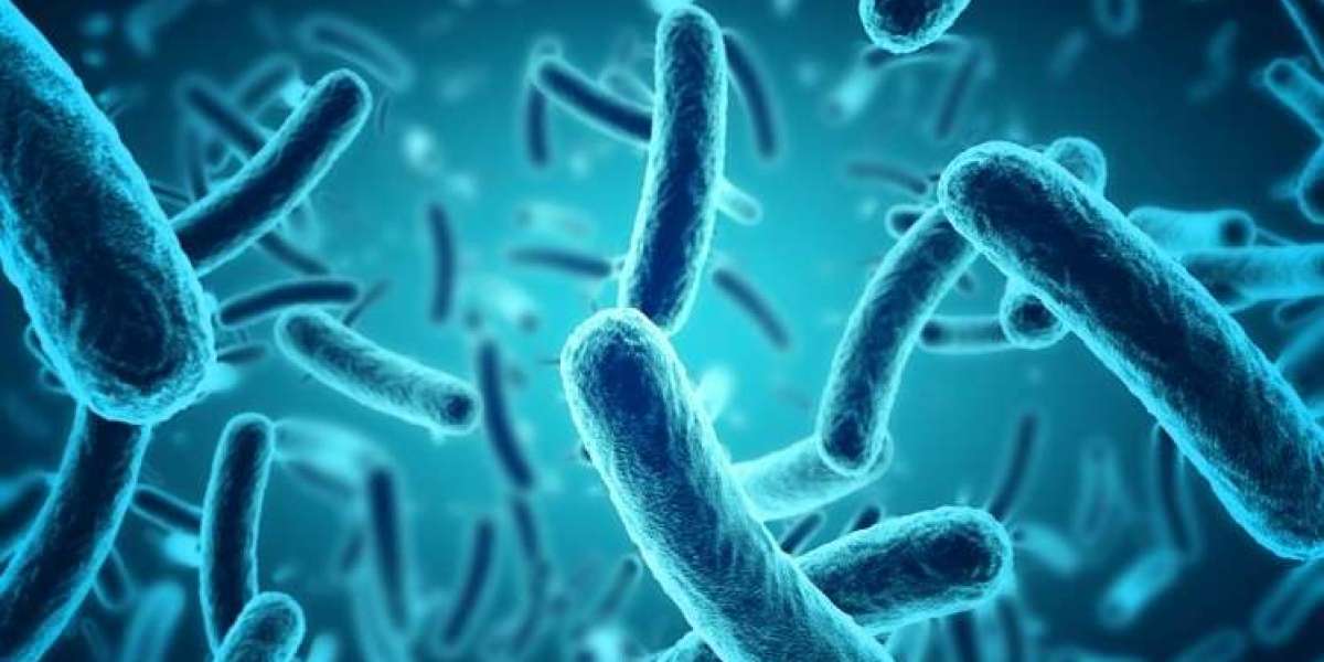 Probiotics Market Trends, Size, Share, Overview, Latest Insights and Forecast Report 2024-2032