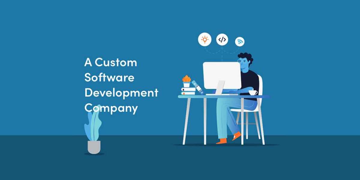 Custom Software Development: A Comprehensive Guide for Entrepreneurs
