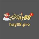 hay88 pro